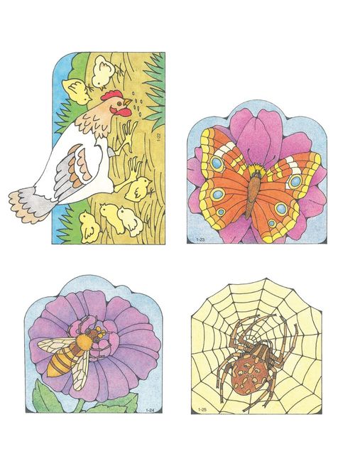 Primary cutouts of a chicken standing with her chicks, an orange butterfly, a bee on a purple flower, and a spider on a spiderweb.