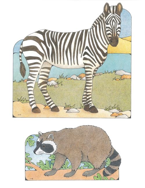 Primary cutouts of a zebra standing next to a lake and a raccoon walking on a branch.