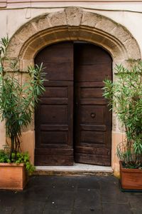  arch over doorway