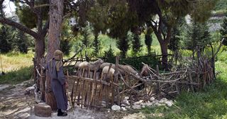 shepherd at the sheepfold