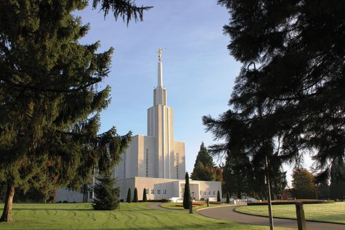 The Bern Switzerland Temple, seen between two pine trees on the temple’s grounds.