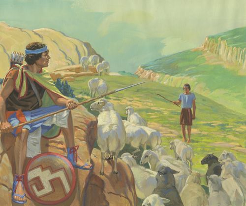 guard with sheep