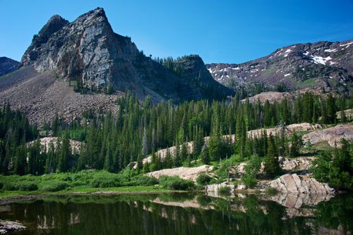 A landscape image of Little Cottonwood Canyon and Lake Blanche in Utah, with mountains and tall pine trees.
