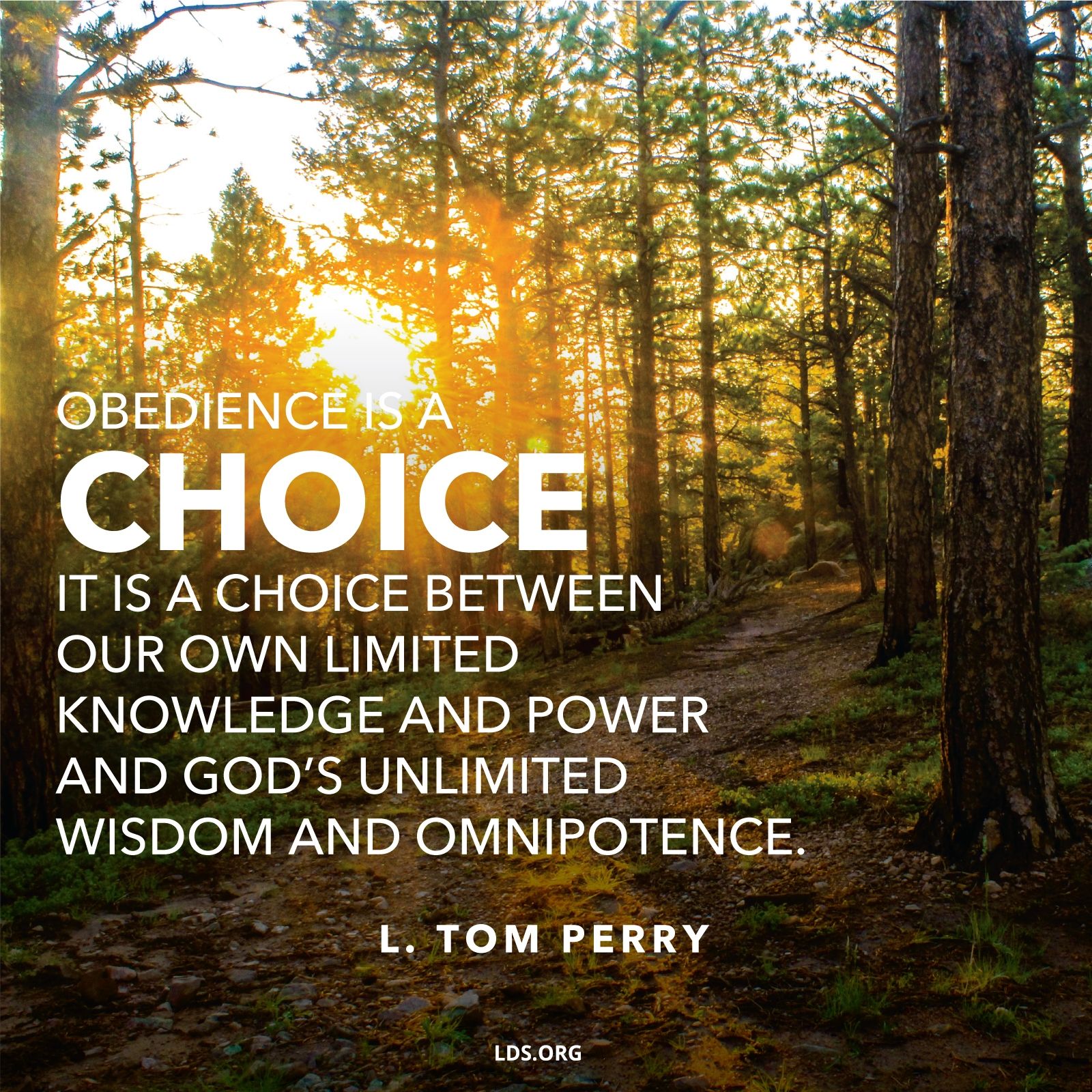 “Obedience is a choice. It is between our own limited knowledge and power and God’s unlimited wisdom and omnipotence.”—Elder L. Tom Perry, “Obedience through Our Faithfulness” © See Individual Images ipCode 1.