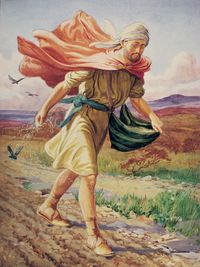 The Sower