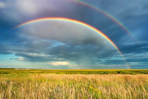 rainbow over field