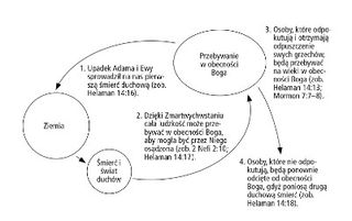 wykres kołowy