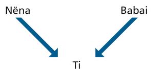 diagrami i prejardhjes prindërore