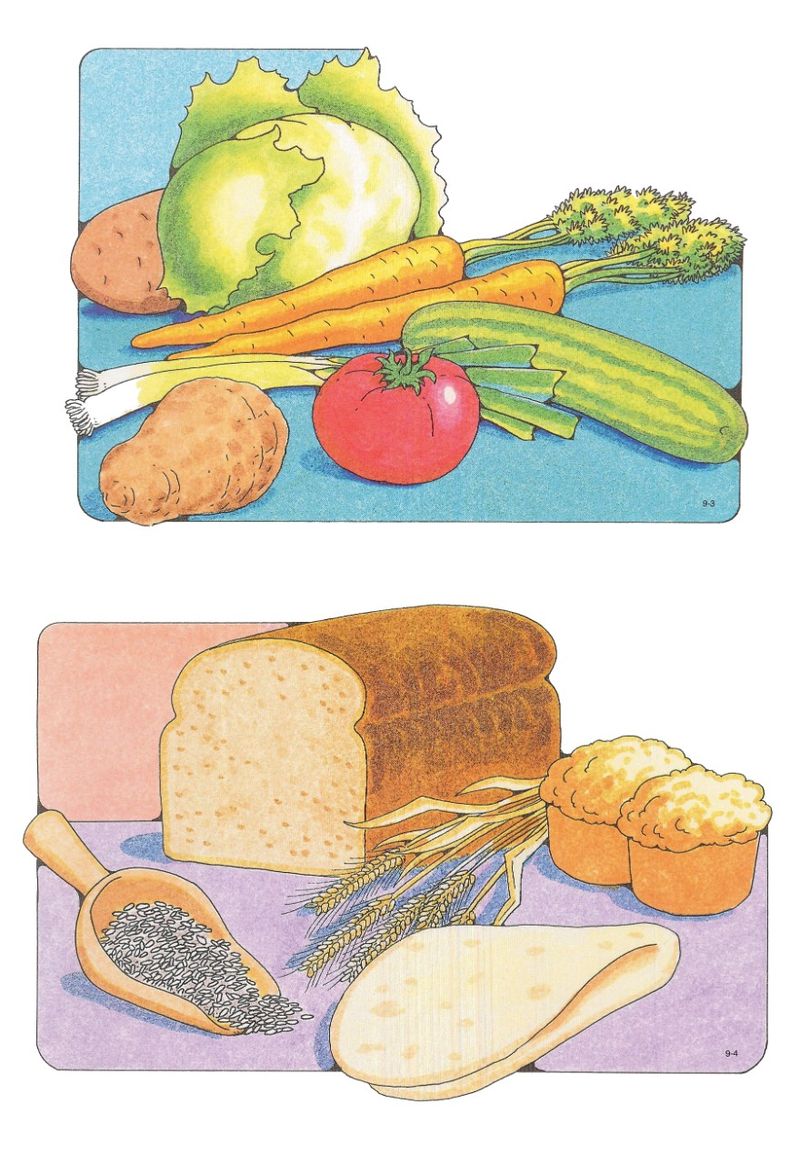 Primary Visual Aids: Cutouts 9-3, Vegetables; 9-4, Grains, Bread.