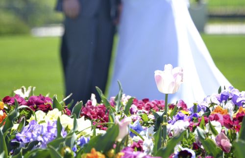 bride and groom