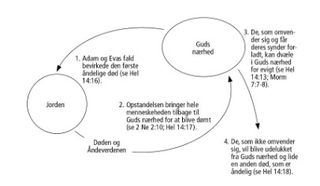 cirkeldiagram