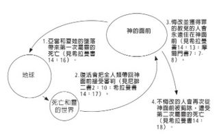 circle diagram