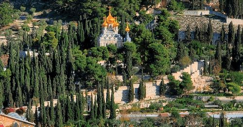 Photo of the Mount of Olives