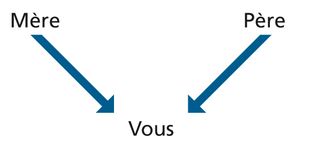 diagramme de filiation