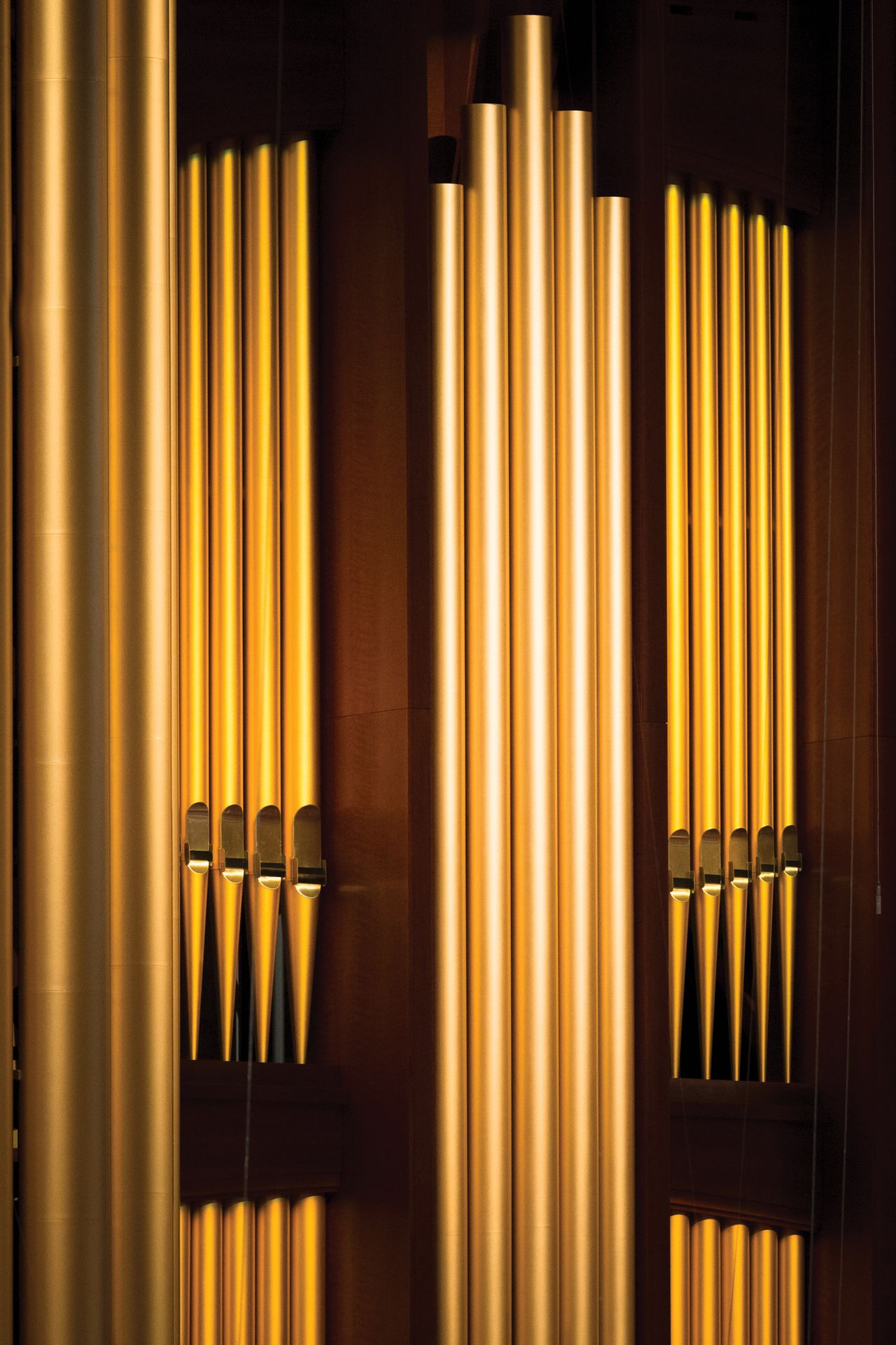 An image of pipes on an organ.