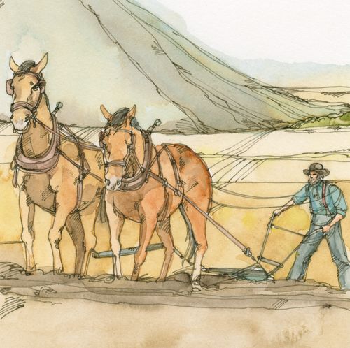 man plowing with horses