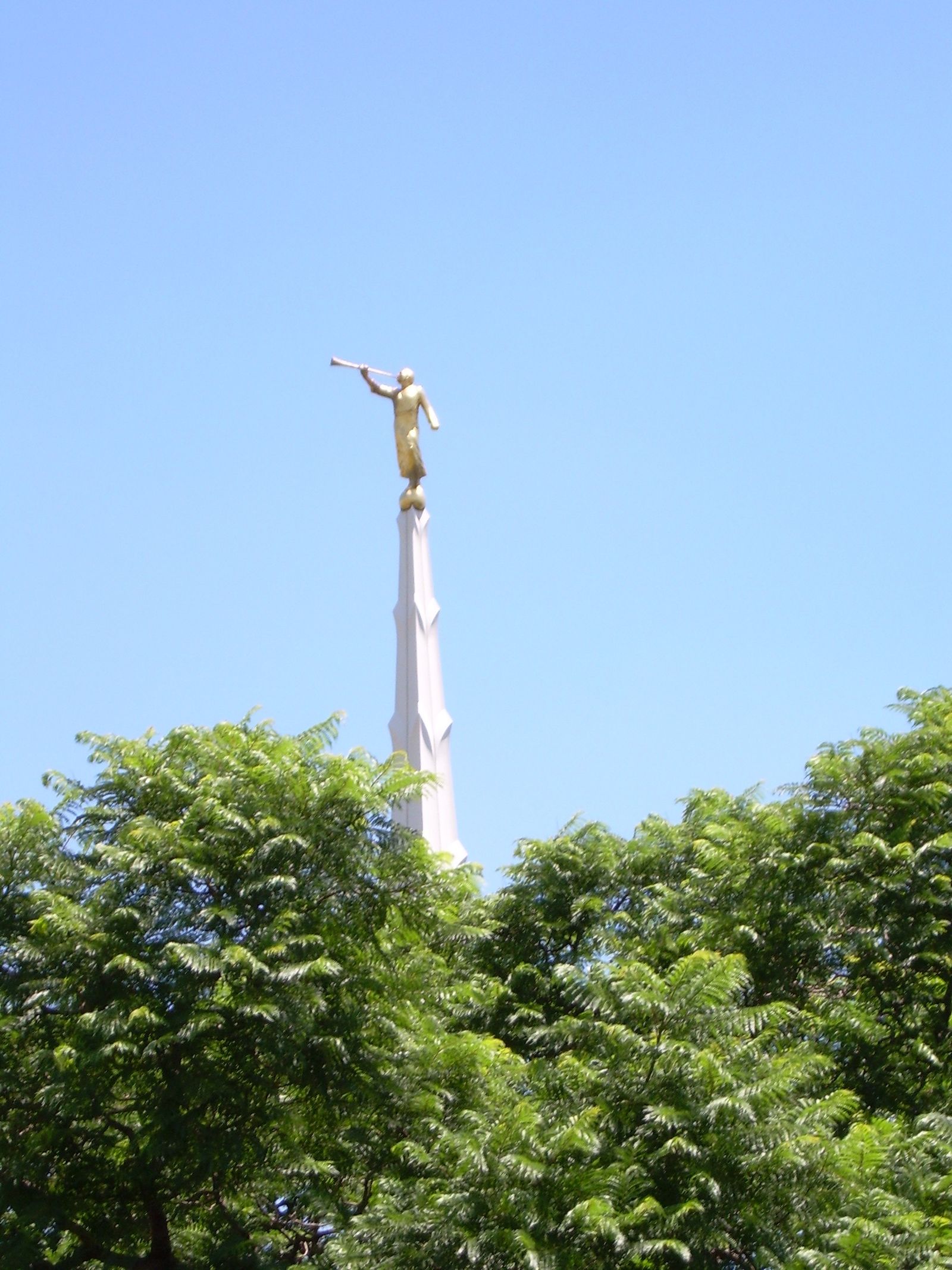 The Johannesburg South Africa Temple spire, including trees.