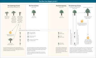 diagram of olive tree allegory