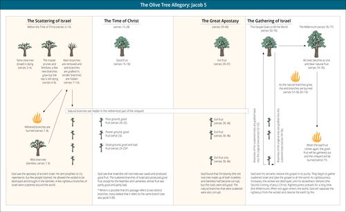 Chart of Olive Tree Allegory