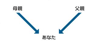 親子関係の図