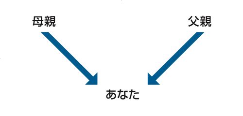 〔両親，あなたの図〕