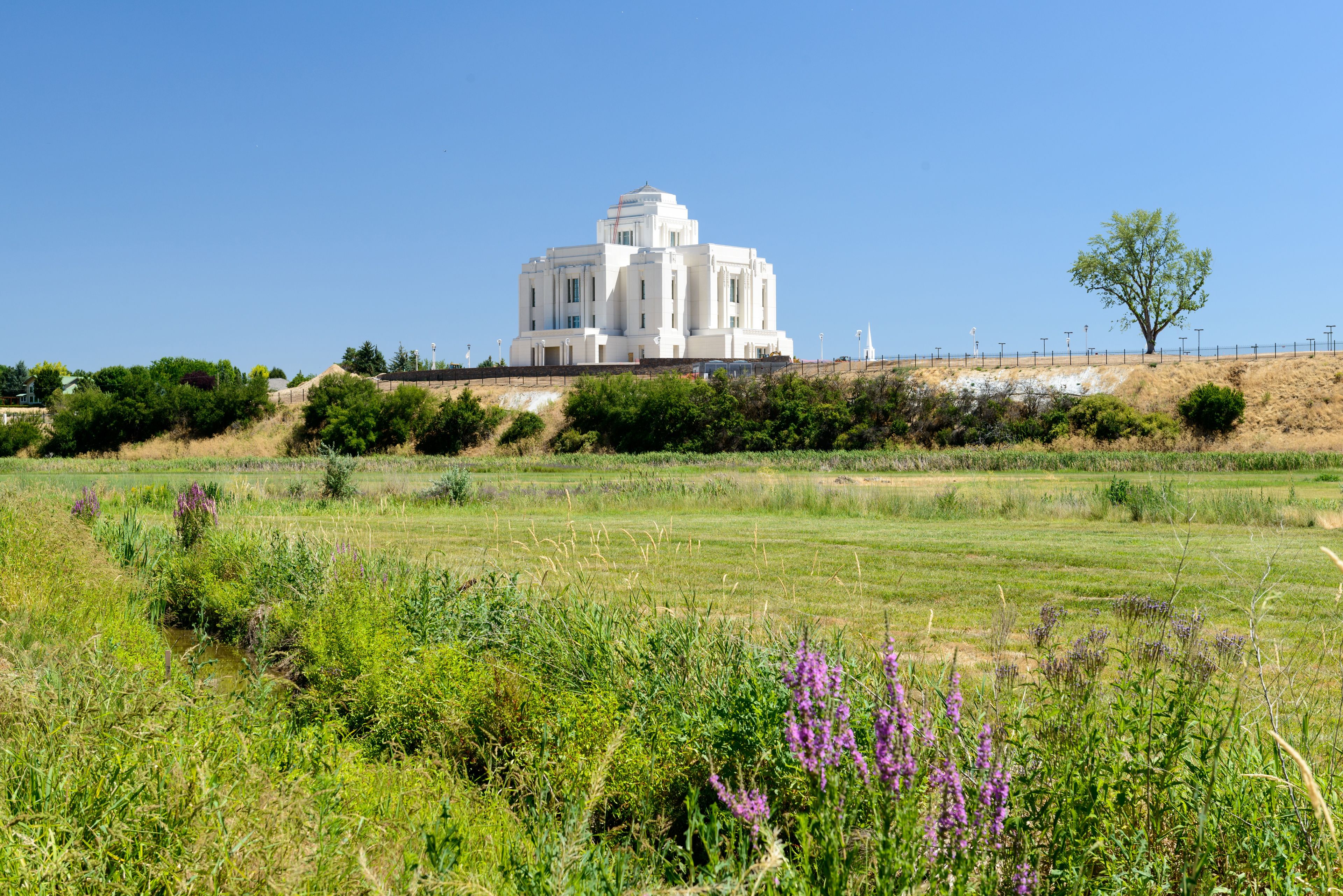 A view of the Meridian Idaho Temple from across a green field.