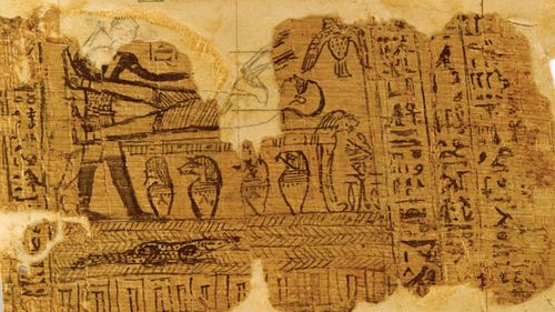 Egyptian papyri [n.d.]