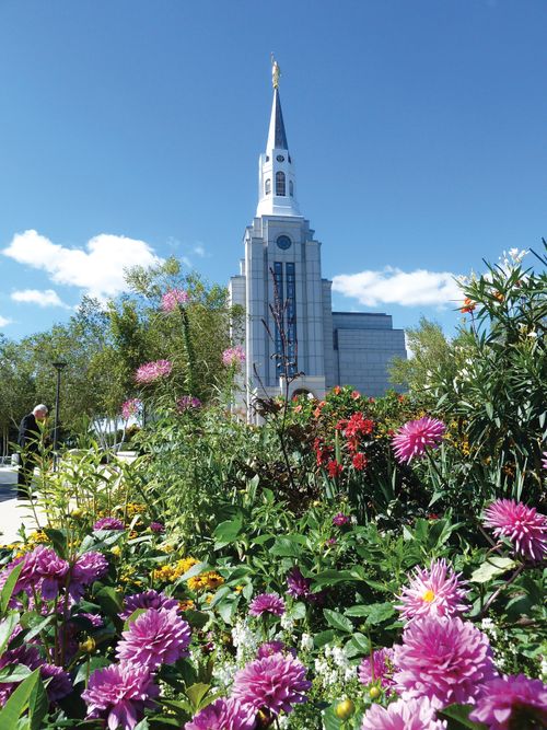 Flowers in the flower bed in front of the Boston Massachusetts Temple, with the temple seen in the background.