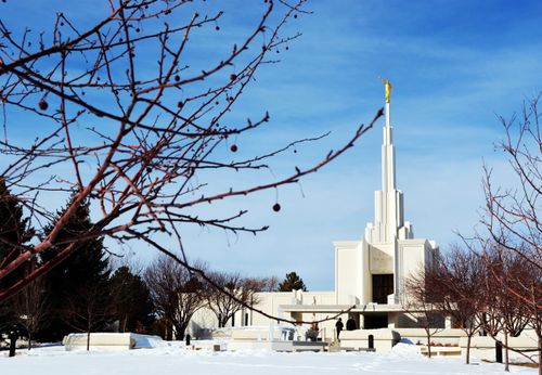 The Denver Colorado Temple in the wintertime, covered in snow and being viewed through the branches of a bare tree.