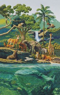 animals and trees