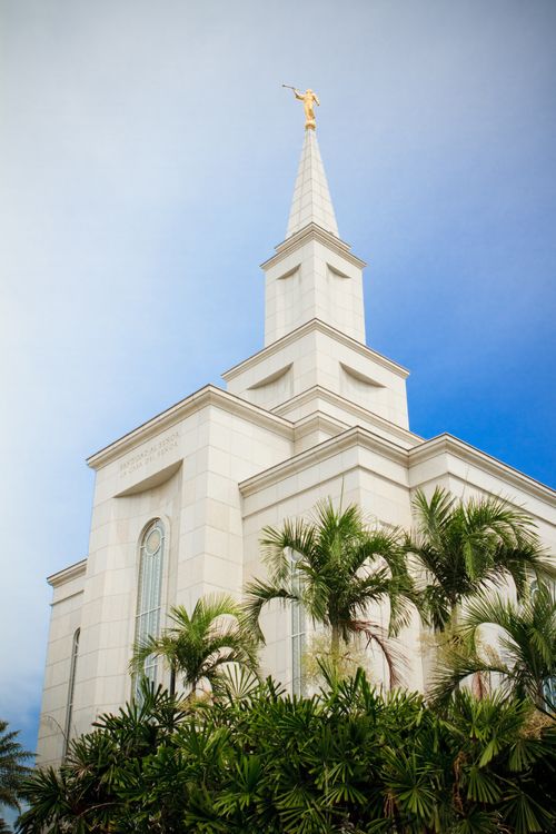 The spire of the Guayaquil Ecuador Temple seen rising above the palm trees on the temple’s grounds on a sunny day.