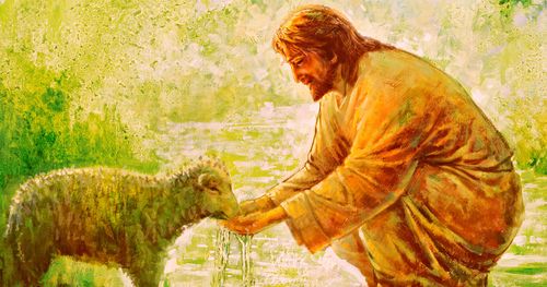 Jesus and sheep