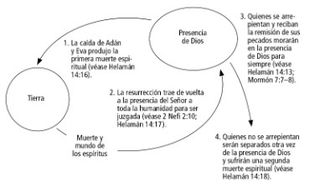 diagrama circular