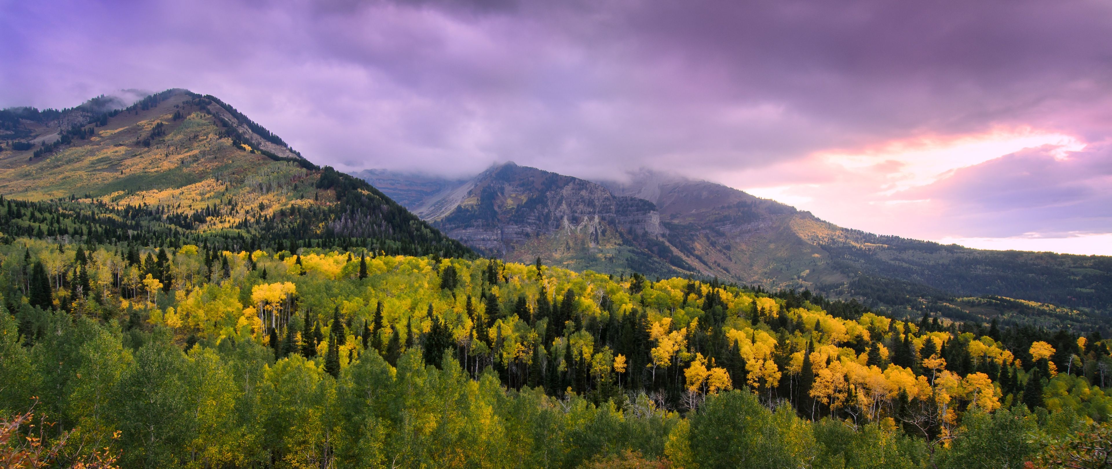 Mountains with yellow trees in the autumn.