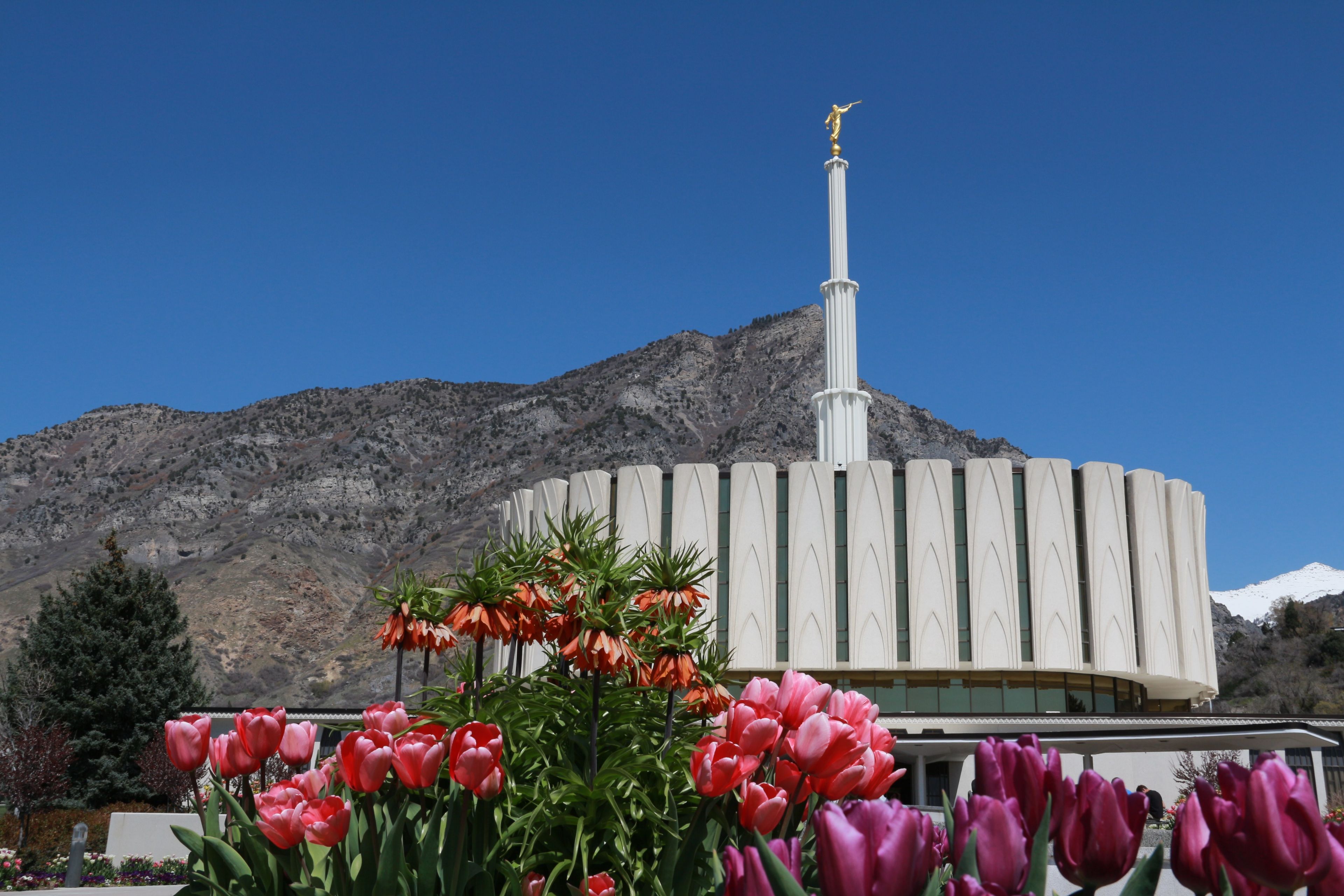 The Provo Utah Temple, including scenery.