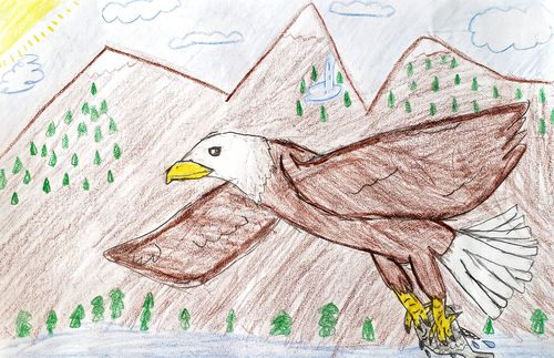 drawing of eagle flying near a mountain