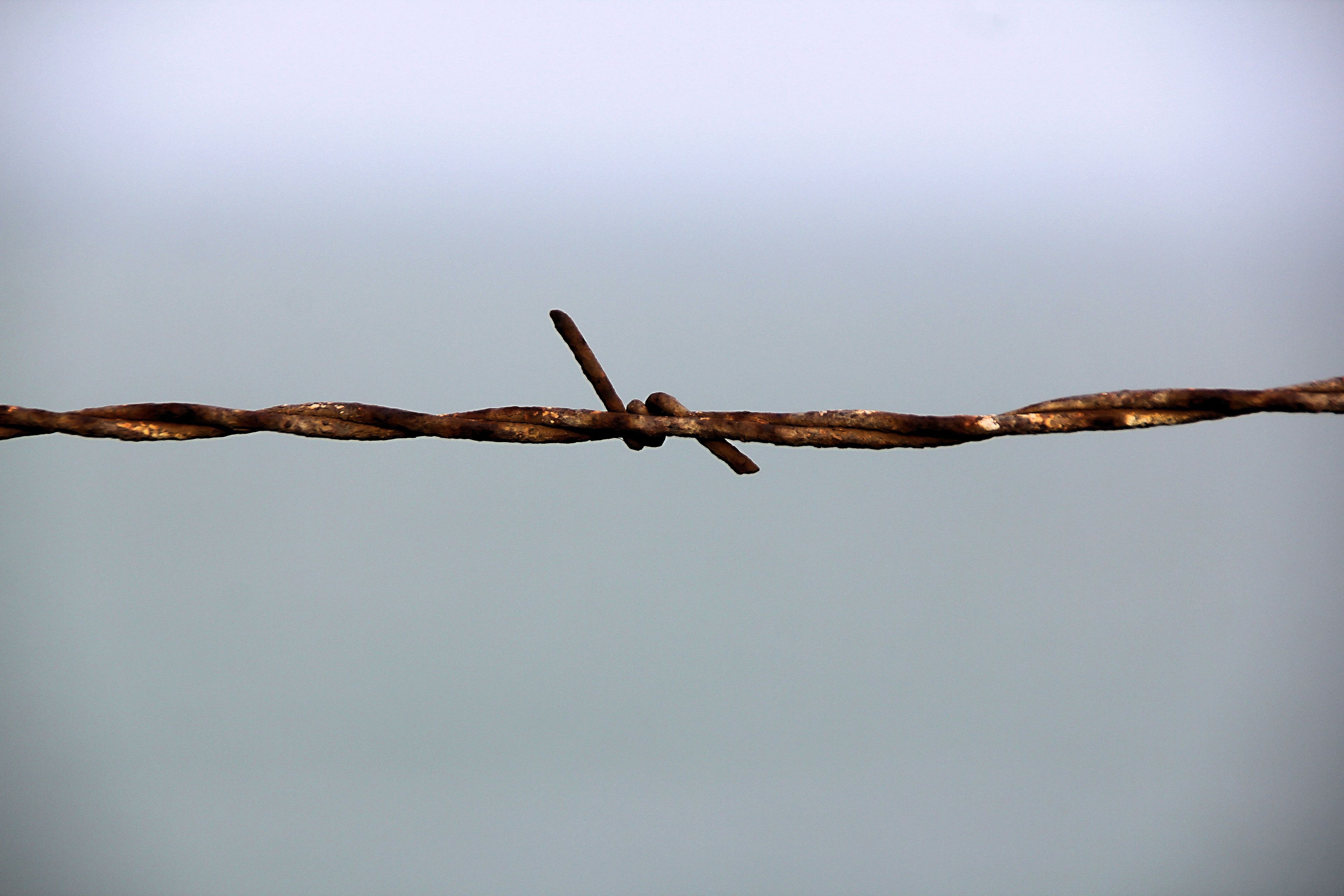 A close-up of a piece of barbed wire.