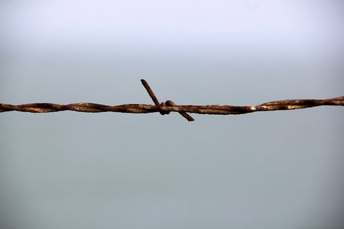 A single strand of rusted barbed wire against a light gray background.