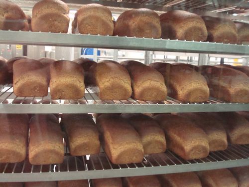 Three rows of light brown, fresh-baked bread loaves on shelves at the bishops’ storehouse.