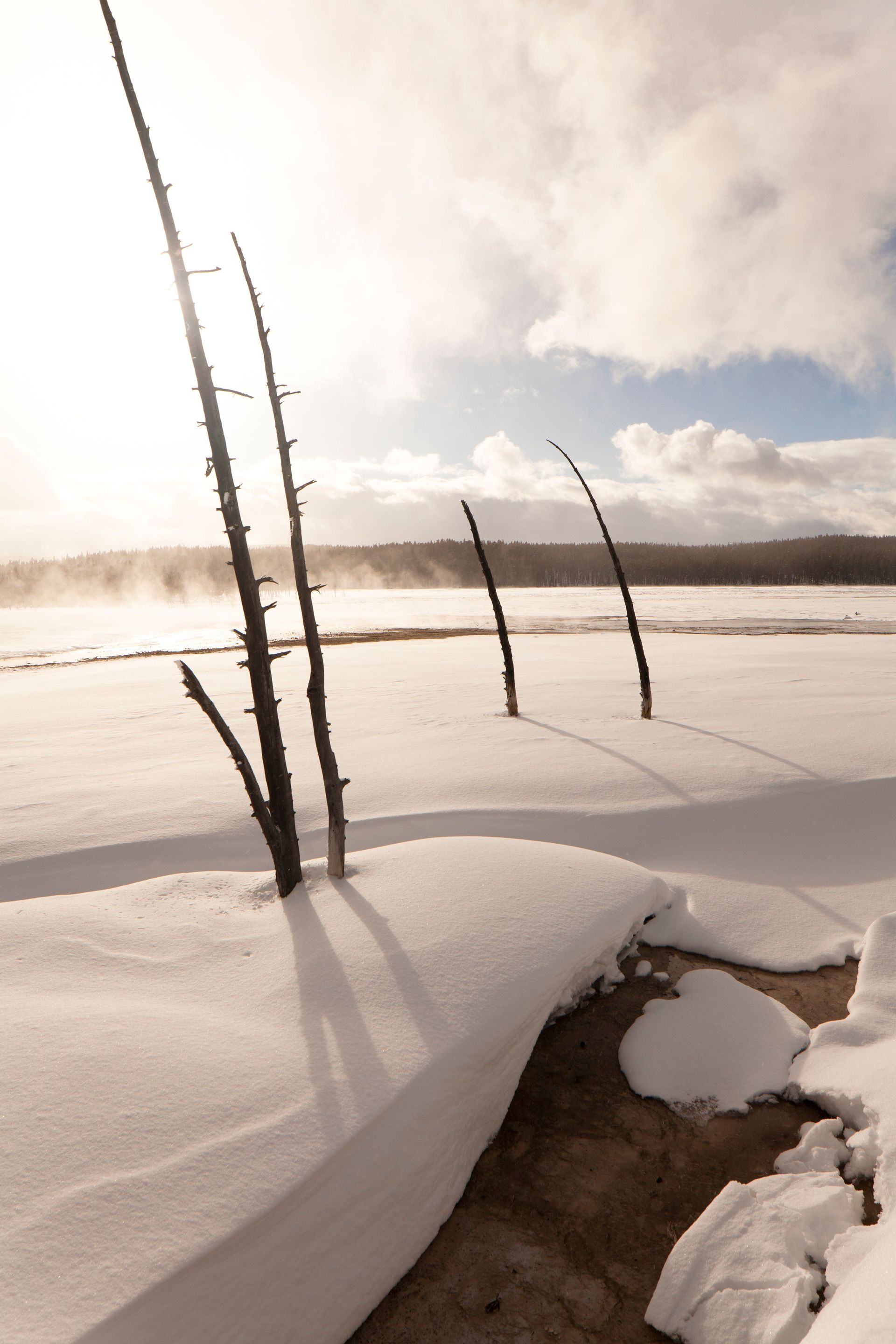 Snow covers the ground at Yellowstone National Park.  