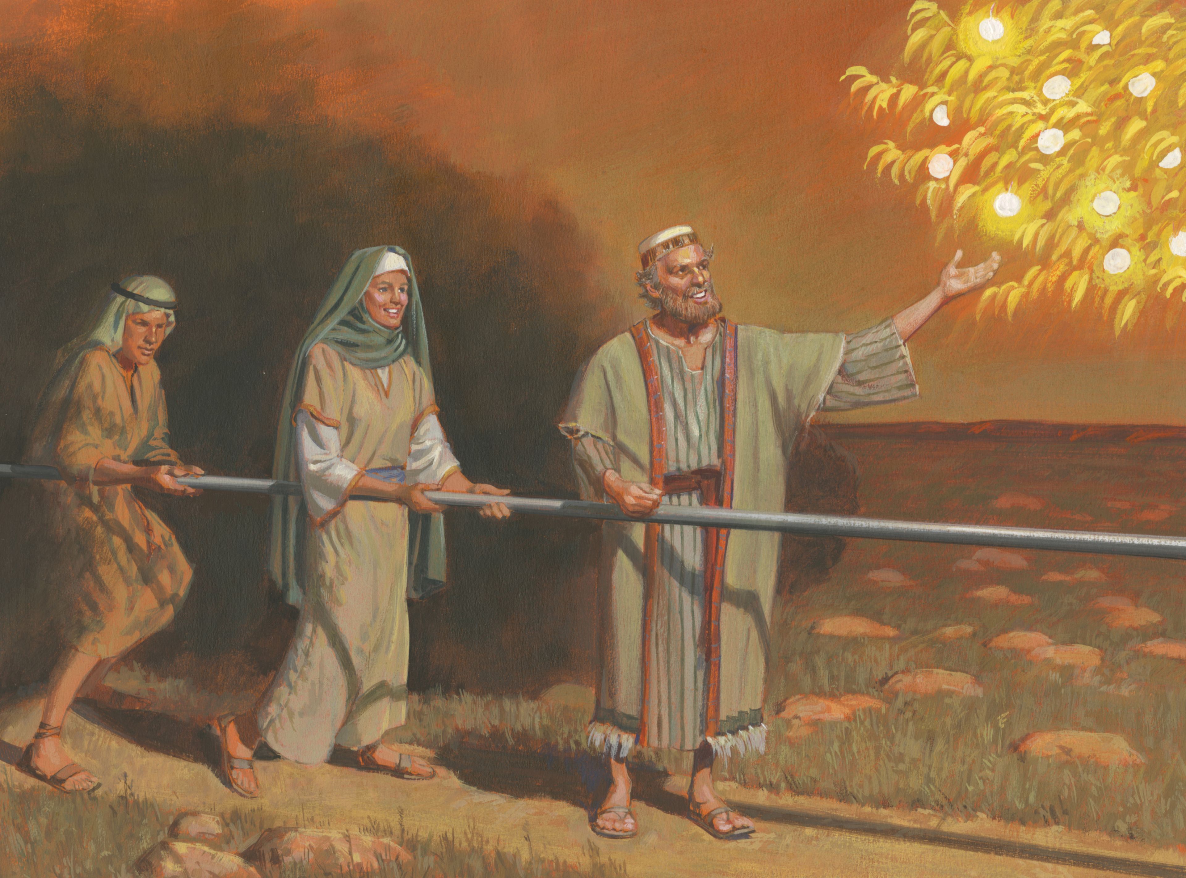 A painting by Jerry Thompson depicting Lehi reaching for the fruit of the tree of life; Primary manual 4-14