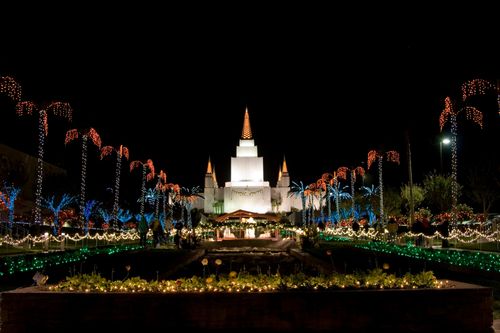 The grounds of the Oakland California Temple at night, with the trees covered in colored lights and the temple illuminated in the distance.