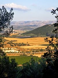 valley of Elah