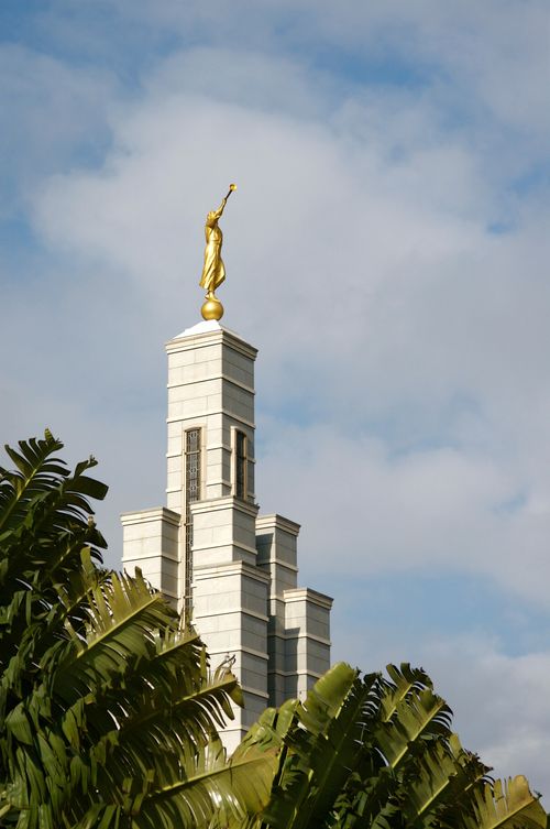 The spire and angel Moroni on the Accra Ghana Temple rise above the palm trees on the temple grounds.