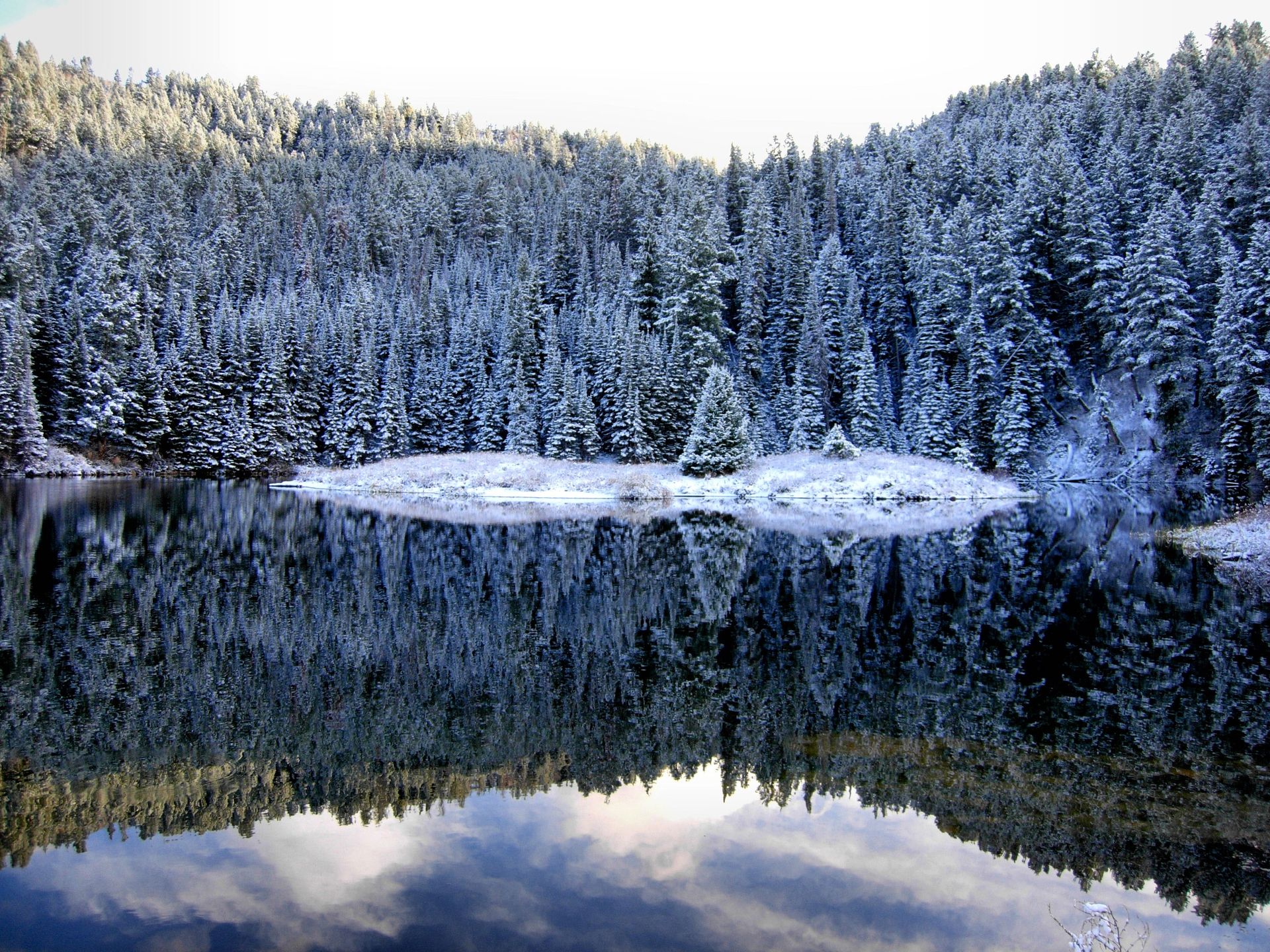 Snow-covered trees are reflected in a pond.
