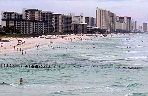 Swimmers creating a human chain