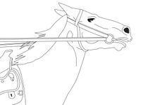 drawing, horse with reins