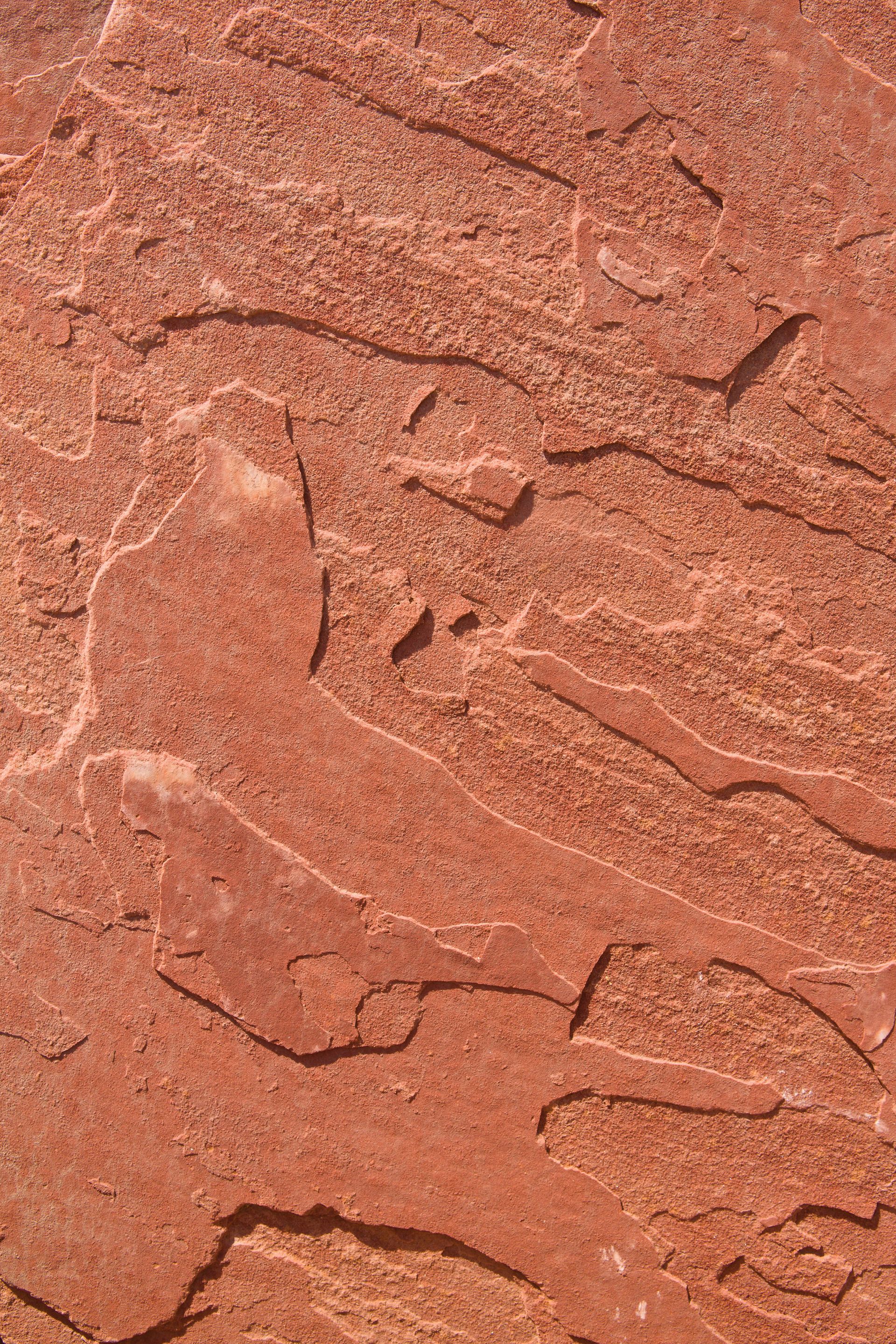 The detail on a slab of red sandstone.