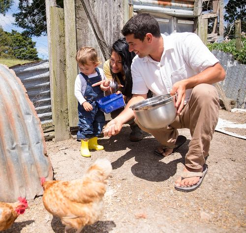 una familia dando de comer a los pollos