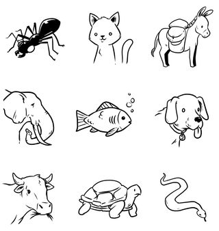 grid of illustrated animals